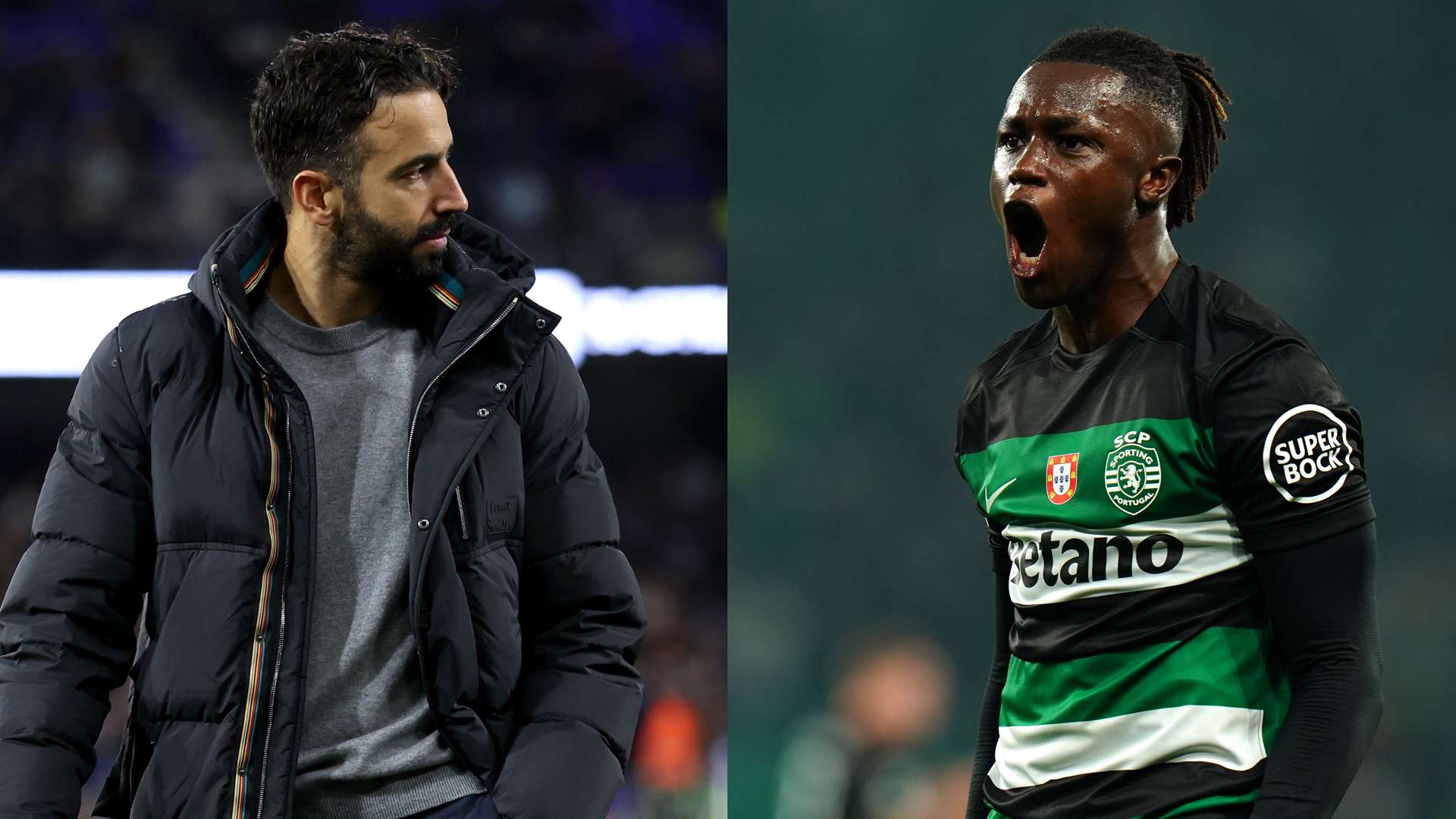 往能够根据 往能够根据