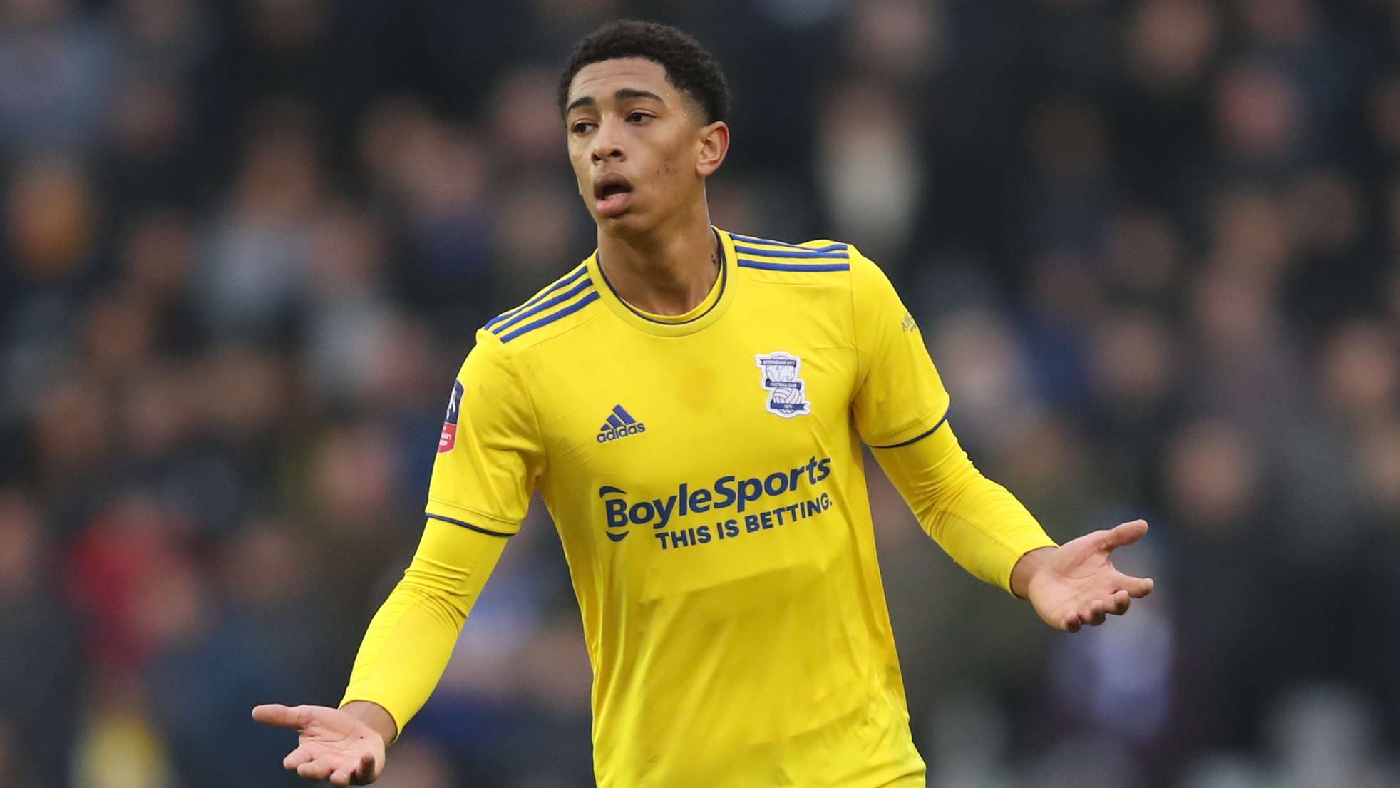 总杯的荣誉 总杯的荣誉